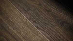 Middle Ages Collection/ Giotto